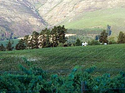 Mountain Cottages At Haskell Vineyard Stellenbosch Eksteriør bilde